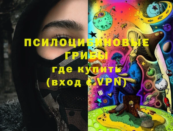 шишки Бронницы